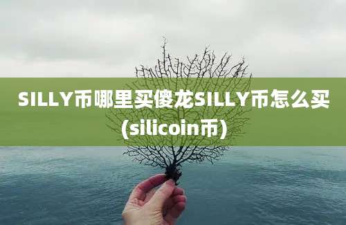 SILLY币哪里买傻龙SILLY币怎么买(silicoin币)