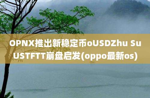 OPNX推出新稳定币oUSDZhu SuUSTFTT崩盘启发(oppo最新os)