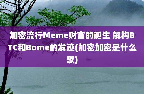 加密流行Meme财富的诞生 解构BTC和Bome的发迹(加密加密是什么歌)