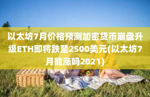 以太坊7月价格预测加密货币崩盘升级ETH即将跌至2500美元(以太坊7月能涨吗2021)