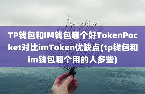 TP钱包和IM钱包哪个好TokenPocket对比imToken优缺点(tp钱包和im钱包哪个用的人多些)