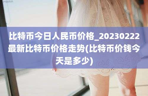 比特币今日人民币价格_20230222最新比特币价格走势(比特币价钱今天是多少)