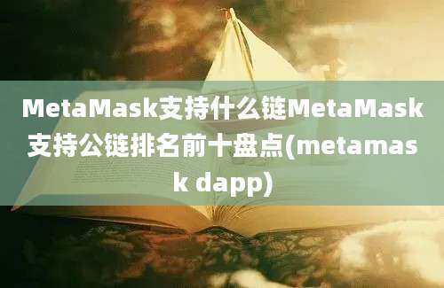 MetaMask支持什么链MetaMask支持公链排名前十盘点(metamask dapp)