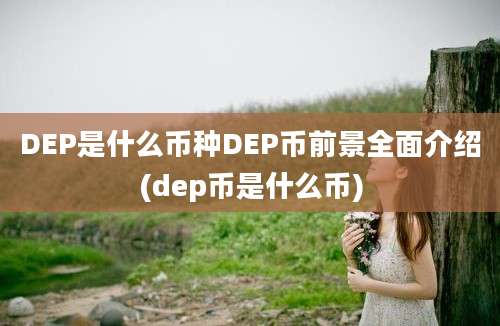 DEP是什么币种DEP币前景全面介绍(dep币是什么币)