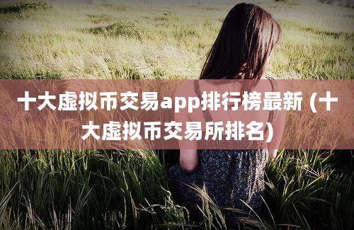 十大虚拟币交易app排行榜最新 (十大虚拟币交易所排名)