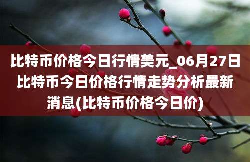 比特币价格今日行情美元_06月27日比特币今日价格行情走势分析最新消息(比特币价格今日价)