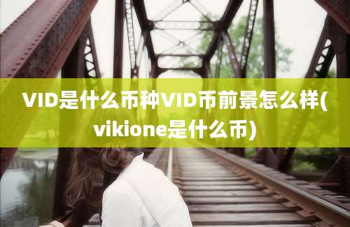 VID是什么币种VID币前景怎么样(vikione是什么币)