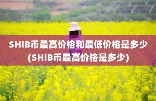 SHIB币最高价格和最低价格是多少(SHIB币最高价格是多少)