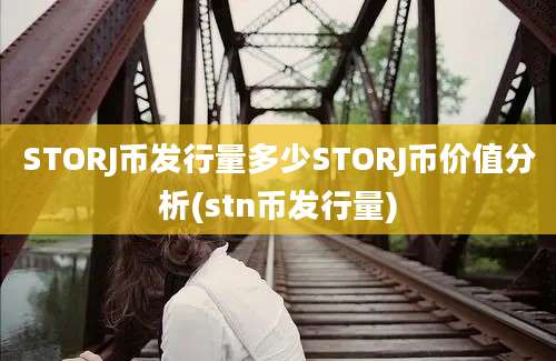 STORJ币发行量多少STORJ币价值分析(stn币发行量)