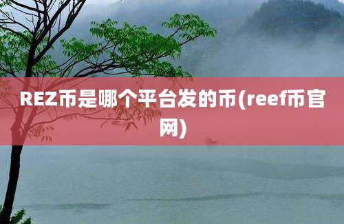 REZ币是哪个平台发的币(reef币官网)