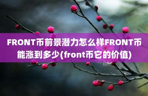 FRONT币前景潜力怎么样FRONT币能涨到多少(front币它的价值)