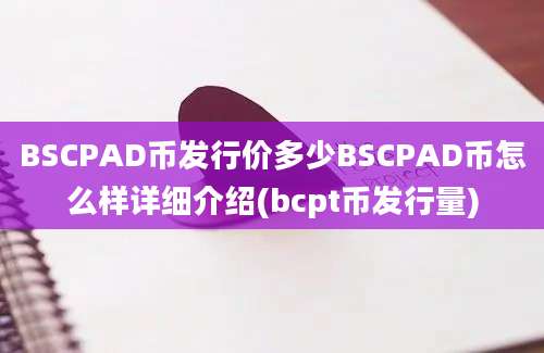 BSCPAD币发行价多少BSCPAD币怎么样详细介绍(bcpt币发行量)