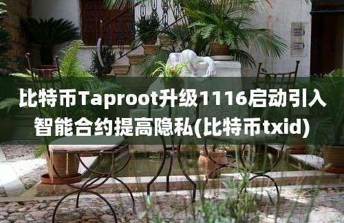 比特币Taproot升级1116启动引入智能合约提高隐私(比特币txid)