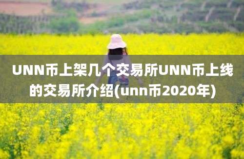 UNN币上架几个交易所UNN币上线的交易所介绍(unn币2020年)