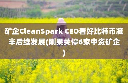 矿企CleanSpark CEO看好比特币减半后续发展(刚果关停6家中资矿企)