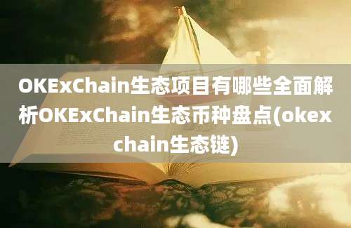 OKExChain生态项目有哪些全面解析OKExChain生态币种盘点(okexchain生态链)