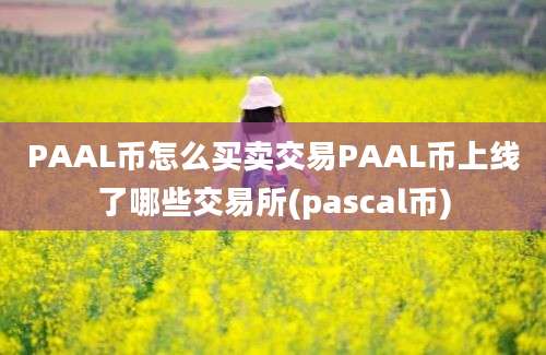 PAAL币怎么买卖交易PAAL币上线了哪些交易所(pascal币)