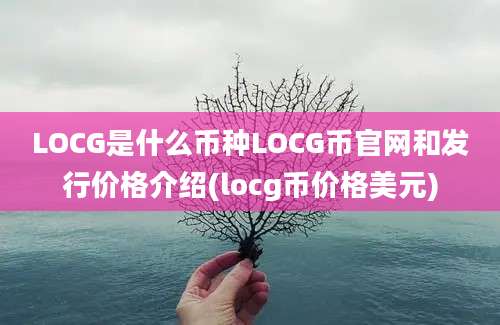 LOCG是什么币种LOCG币官网和发行价格介绍(locg币价格美元)