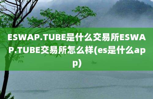 ESWAP.TUBE是什么交易所ESWAP.TUBE交易所怎么样(es是什么app)