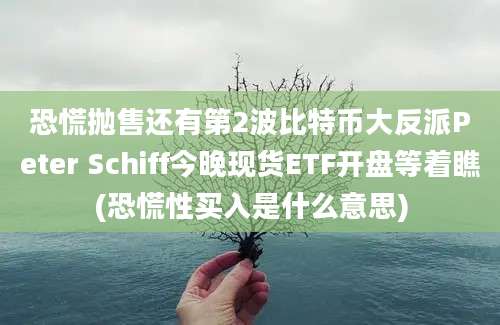 恐慌抛售还有第2波比特币大反派Peter Schiff今晚现货ETF开盘等着瞧(恐慌性买入是什么意思)