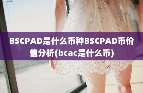 BSCPAD是什么币种BSCPAD币价值分析(bcac是什么币)