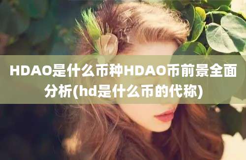 HDAO是什么币种HDAO币前景全面分析(hd是什么币的代称)