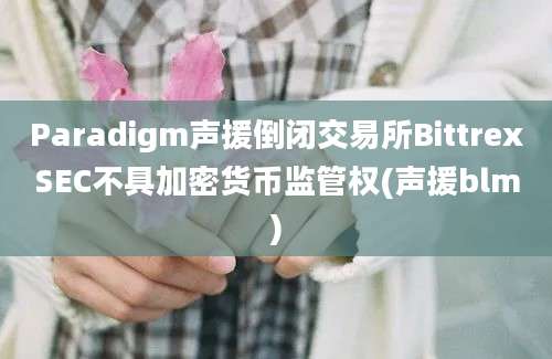 Paradigm声援倒闭交易所BittrexSEC不具加密货币监管权(声援blm)