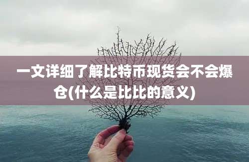 一文详细了解比特币现货会不会爆仓(什么是比比的意义)