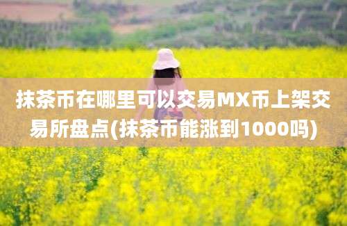 抹茶币在哪里可以交易MX币上架交易所盘点(抹茶币能涨到1000吗)