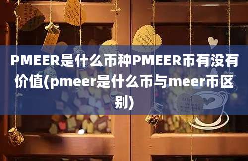 PMEER是什么币种PMEER币有没有价值(pmeer是什么币与meer币区别)