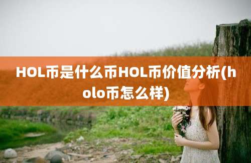 HOL币是什么币HOL币价值分析(holo币怎么样)