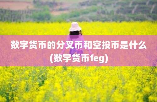 数字货币的分叉币和空投币是什么(数字货币feg)