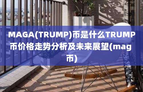 MAGA(TRUMP)币是什么TRUMP币价格走势分析及未来展望(mag 币)