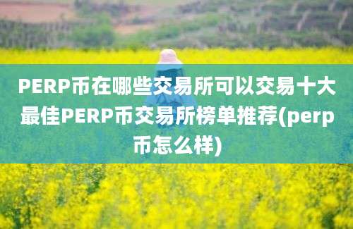 PERP币在哪些交易所可以交易十大最佳PERP币交易所榜单推荐(perp币怎么样)