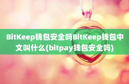 BitKeep钱包安全吗BitKeep钱包中文叫什么(bitpay钱包安全吗)