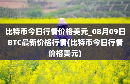 比特币今日行情价格美元_08月09日BTC最新价格行情(比特币今日行情价格美元)