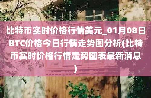 比特币实时价格行情美元_01月08日BTC价格今日行情走势图分析(比特币实时价格行情走势图表最新消息)