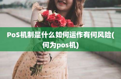 PoS机制是什么如何运作有何风险(何为pos机)