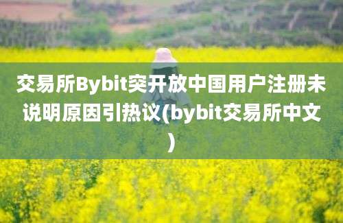 交易所Bybit突开放中国用户注册未说明原因引热议(bybit交易所中文)