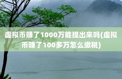 虚拟币赚了1000万能提出来吗(虚拟币赚了100多万怎么缴税)