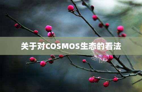 关于对COSMOS生态的看法