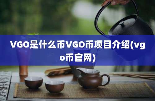 VGO是什么币VGO币项目介绍(vgo币官网)