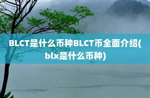 BLCT是什么币种BLCT币全面介绍(blx是什么币种)