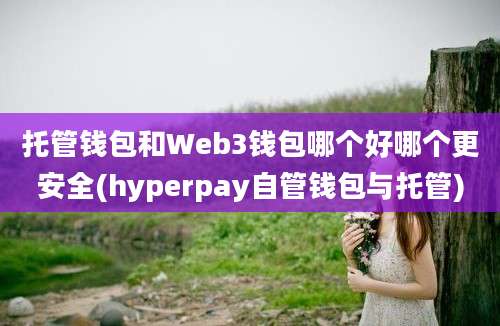 托管钱包和Web3钱包哪个好哪个更安全(hyperpay自管钱包与托管)