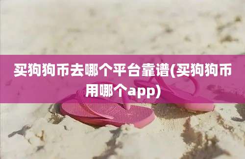 买狗狗币去哪个平台靠谱(买狗狗币用哪个app)