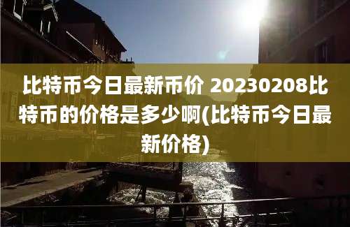 比特币今日最新币价 20230208比特币的价格是多少啊(比特币今日最新价格)