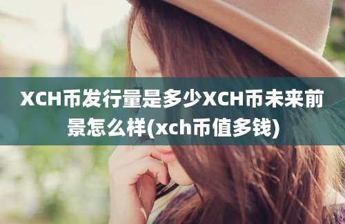 XCH币发行量是多少XCH币未来前景怎么样(xch币值多钱)