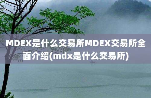 MDEX是什么交易所MDEX交易所全面介绍(mdx是什么交易所)