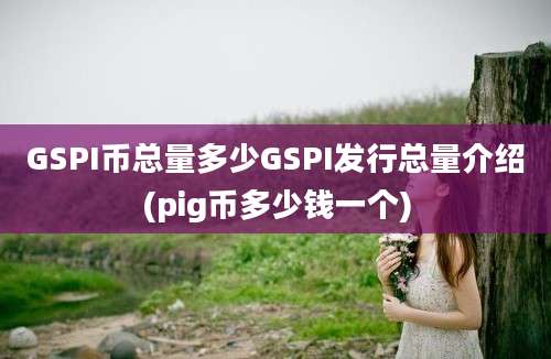 GSPI币总量多少GSPI发行总量介绍(pig币多少钱一个)