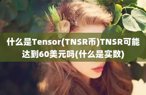 什么是Tensor(TNSR币)TNSR可能达到60美元吗(什么是实数)